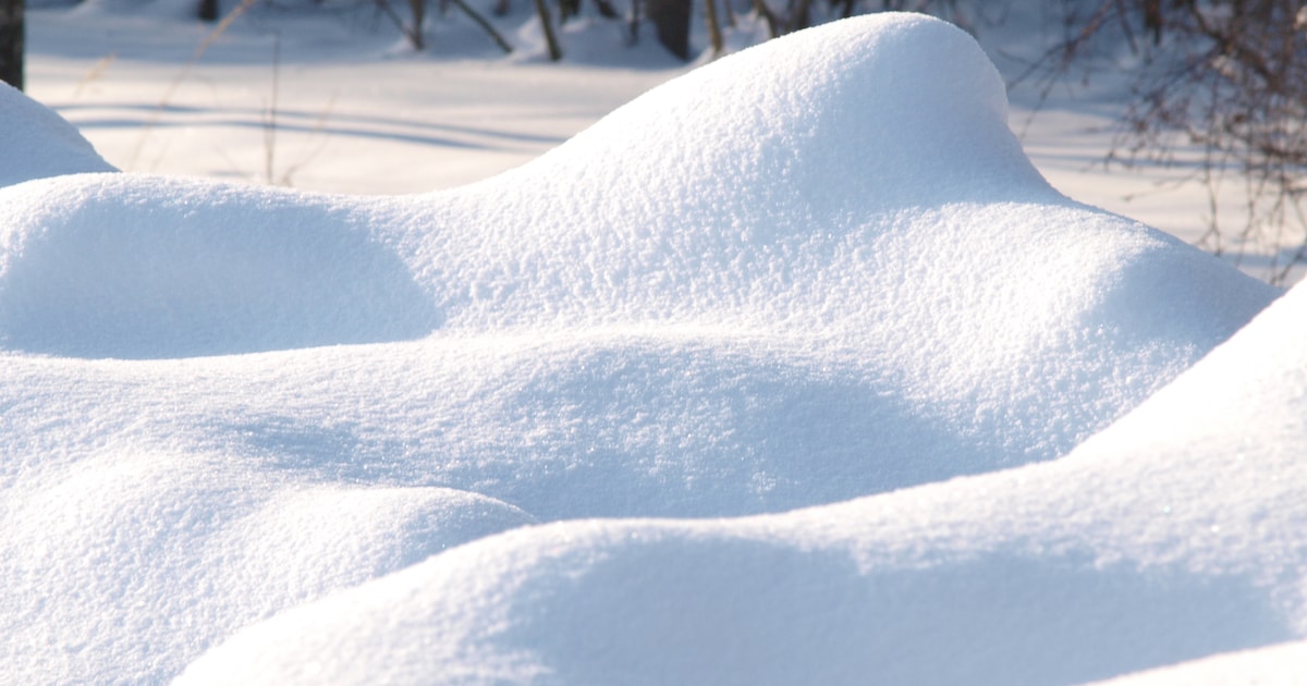 Met deelname aan winterwandeling in Wapenveld kunnen mensen goed doel steunen