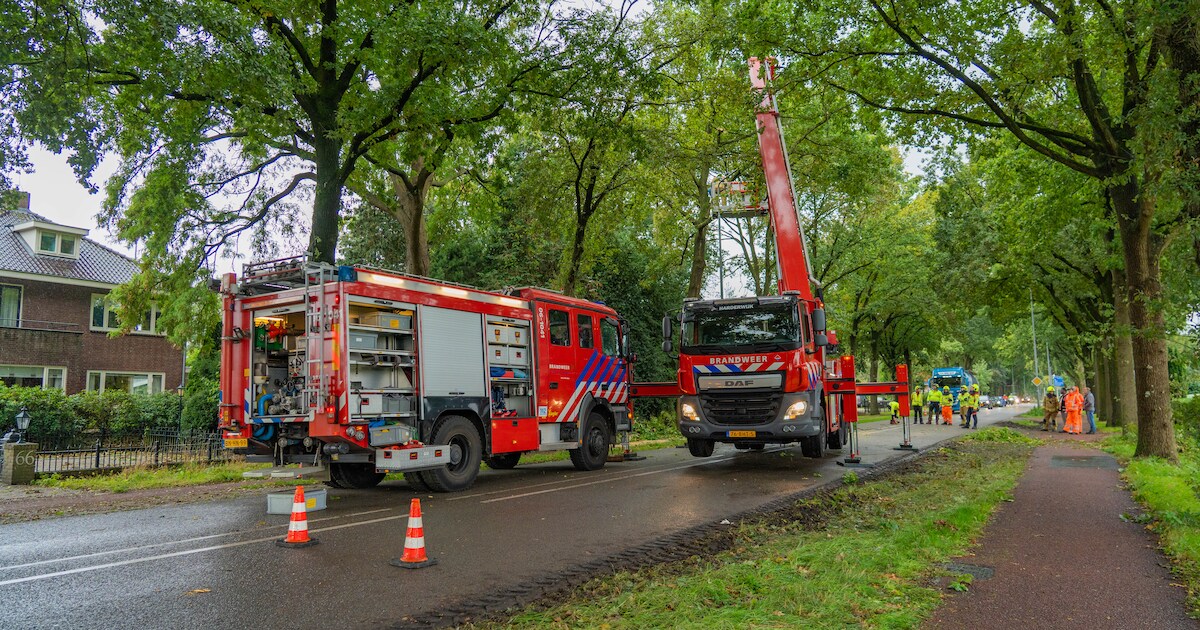 Grote tak valt op weg in Hierden, brandweer maakt situatie veilig ...