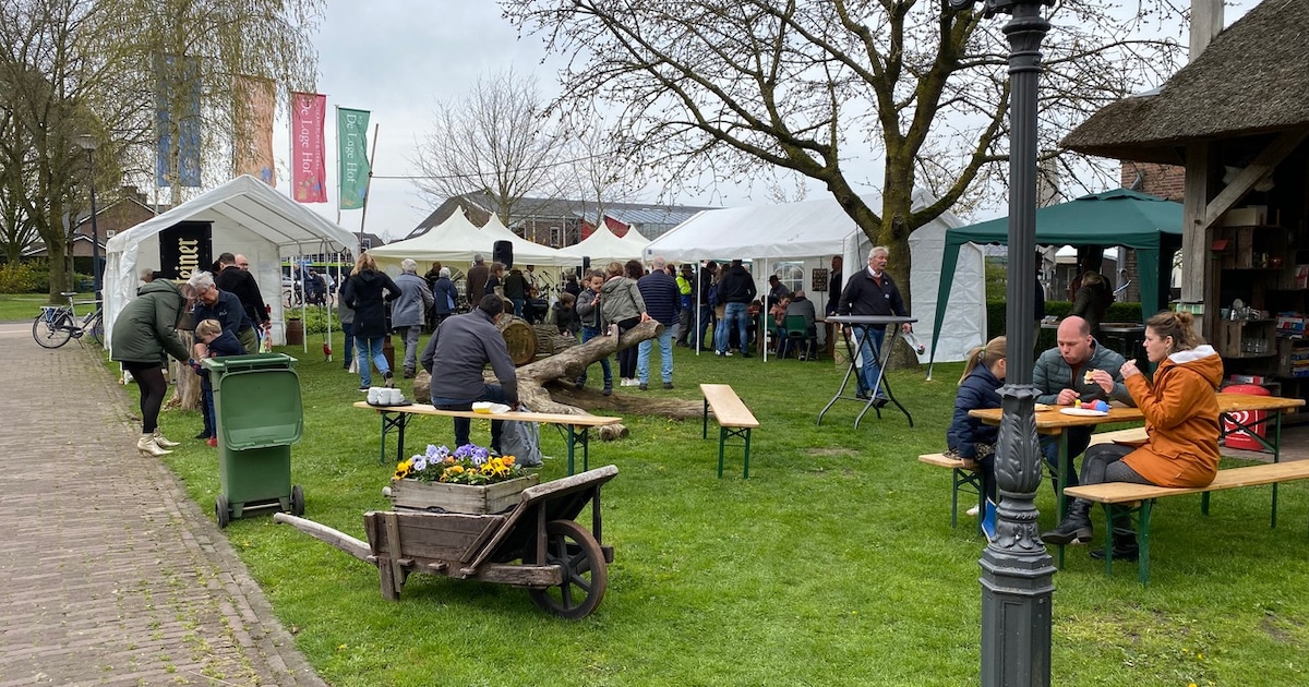 Zonnebloemen zaaien op markt bij De Lage Hof
