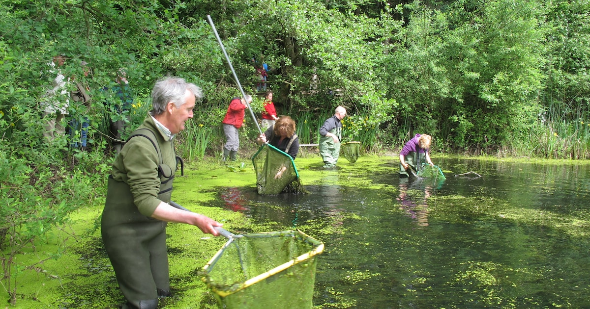 Gemeente Brummen bedankt groene vrijwilligers met waarderingsbijeenkomst