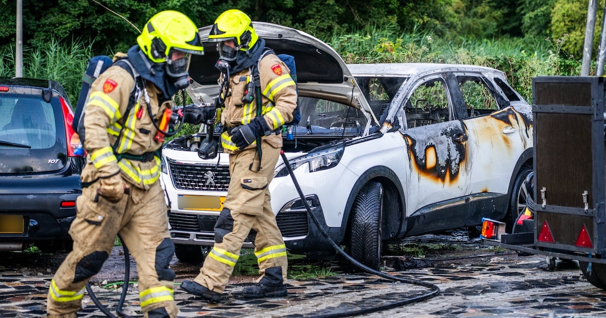 Geparkeerde auto gaat in vlammen op aan de Dordrechtweg in Arnhem
