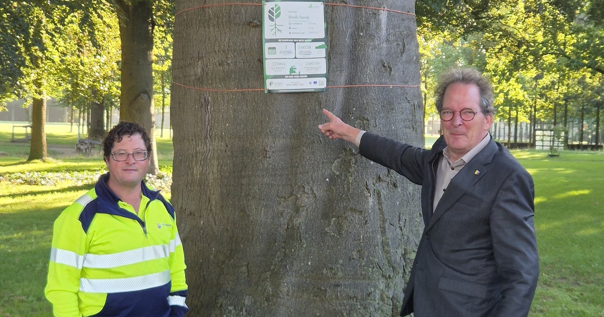 Vijf bomen in Heerde krijgen informatiebord voor Europese campagne