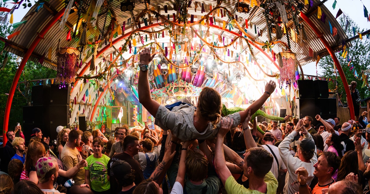 Wilde Weide komt eraan: zo bereid je je voor op het festival