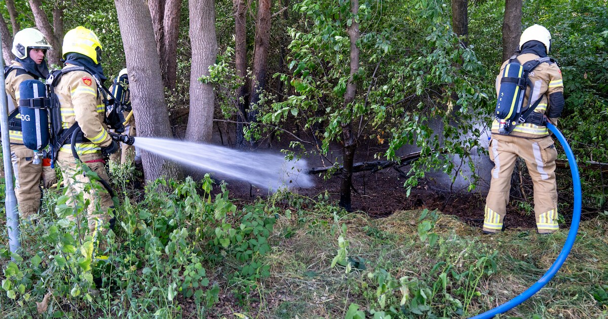 Kleine bosbrand aan Kuipersdwarsweg in Kring van Dorth snel geblust