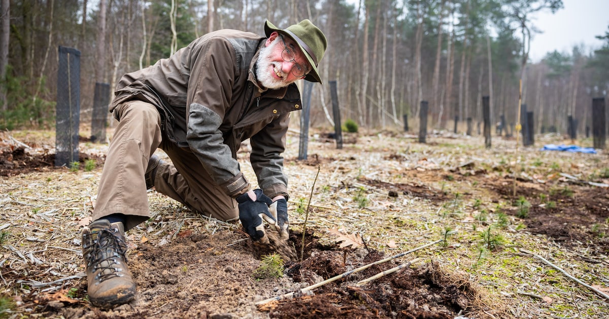 Struiken en bomen uit eigen streek maken het verschil voor insecten