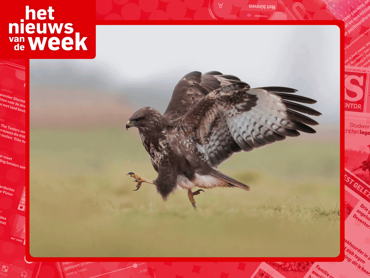Niels Wennemars als snelste beneden en een boze vogel valt mensen aan in Bant: wat weet jij van het 