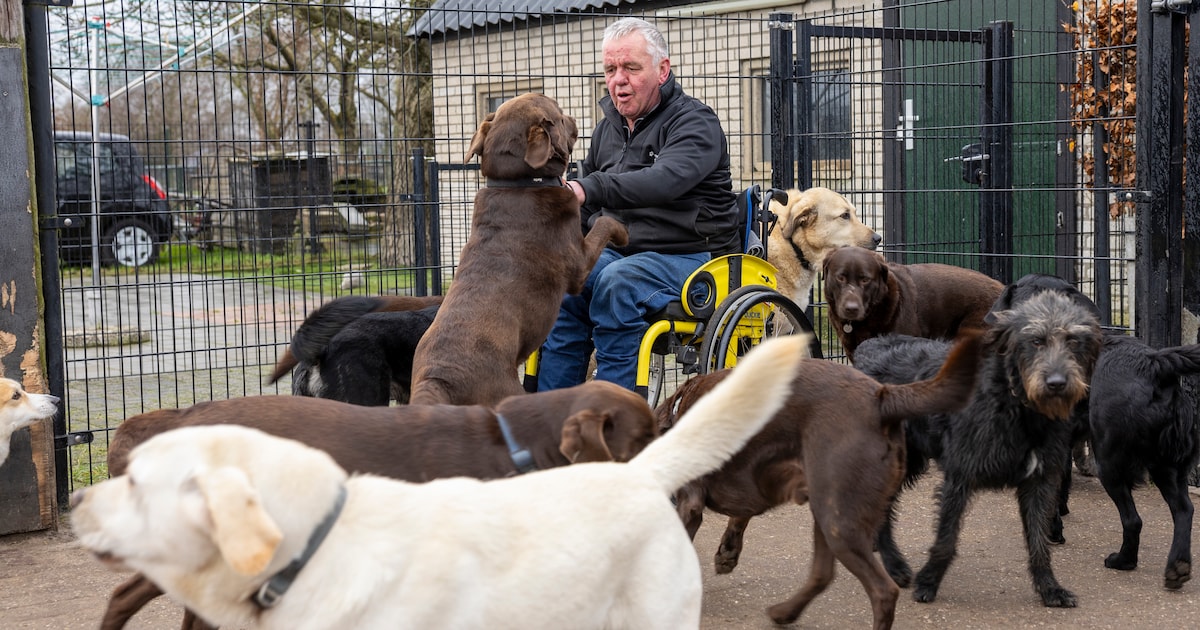 Jan bouwde vanuit een uitkering een paradijs voor 225 honden, maar zijn lijf kan niet meer: ‘Dit doe