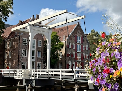 Fotogeniek bruggetje in Zwolle is na maanden weer helemaal toegankelijk: zo ziet het eruit