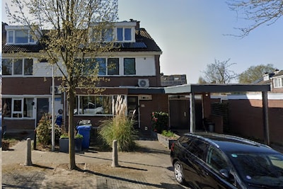 ‘Zwemspa’ met palmbomen in je achtertuin: deze Zwolse woning wil je even zien