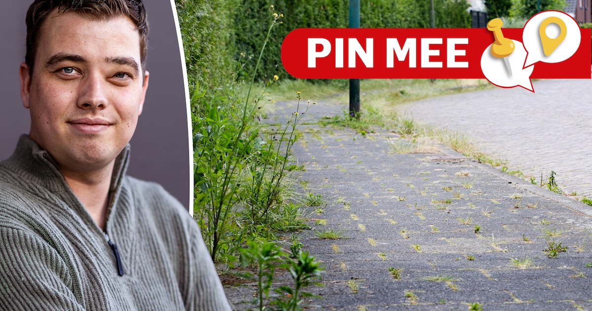 Waar in Amersfoort stoor jij je aan onkruid of overhangend groen? Laat het ons weten!