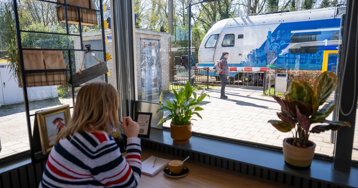 Tweehonderd treinen per dag door Borne: ‘Nooit stilstaan tussen de bomen, dat is onze tweede natuur’