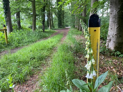 De aanleg van het wandelnetwerk in Epe start binnenkort