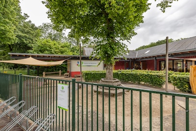Tweede kinderopvang in Zwolle dicht door muizen: ‘Mogelijk o