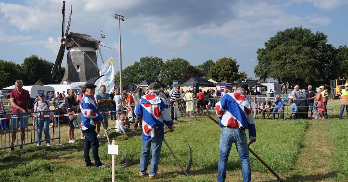 Teams gaan de strijd met elkaar aan tijdens NK Maaien met de Zeis op Boer’ndag in Elspeet