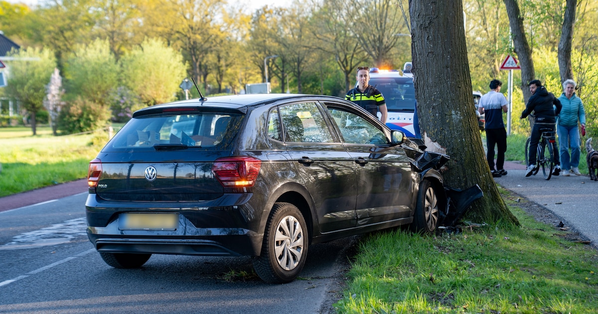 Auto botst tegen boom langs de Koningin Wilhelminalaan in Schalkhaar