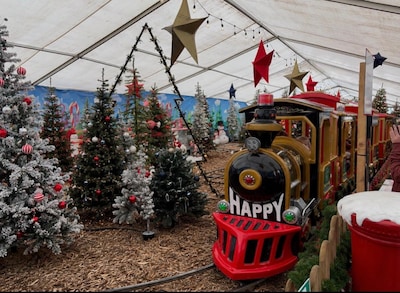 Alle ballen verzamelen: zo ziet de kerstshow van Intratuin Apeldoorn eruit