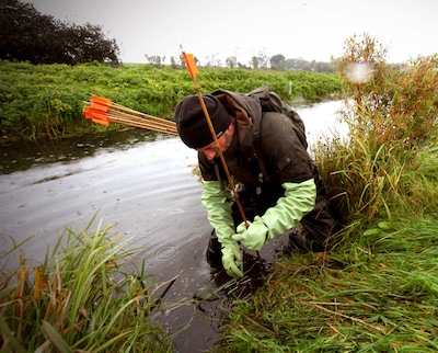 Meer muskusratten of minder muskusratten gevangen: waarom dat allebei goed nieuws kan zijn