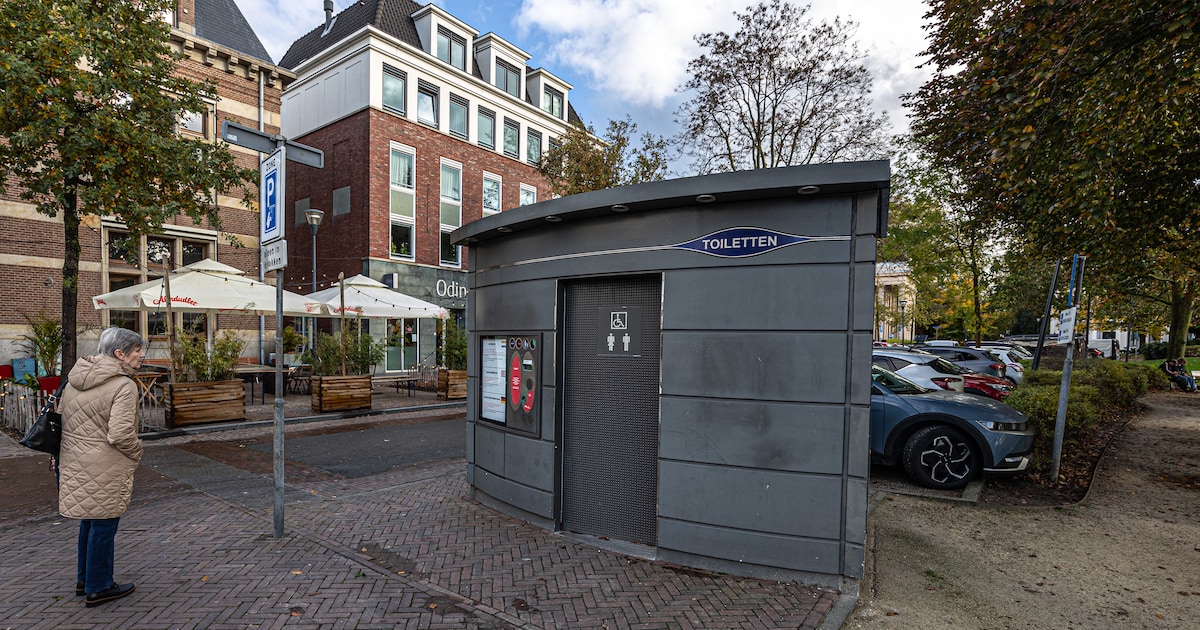 Meppel start proef met openbare toiletten tegen wildplassen