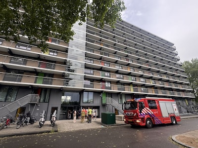 Noodweer in de regio: boom valt tegen school in Diepenveen, huishoudens Apeldoorn zonder stroom