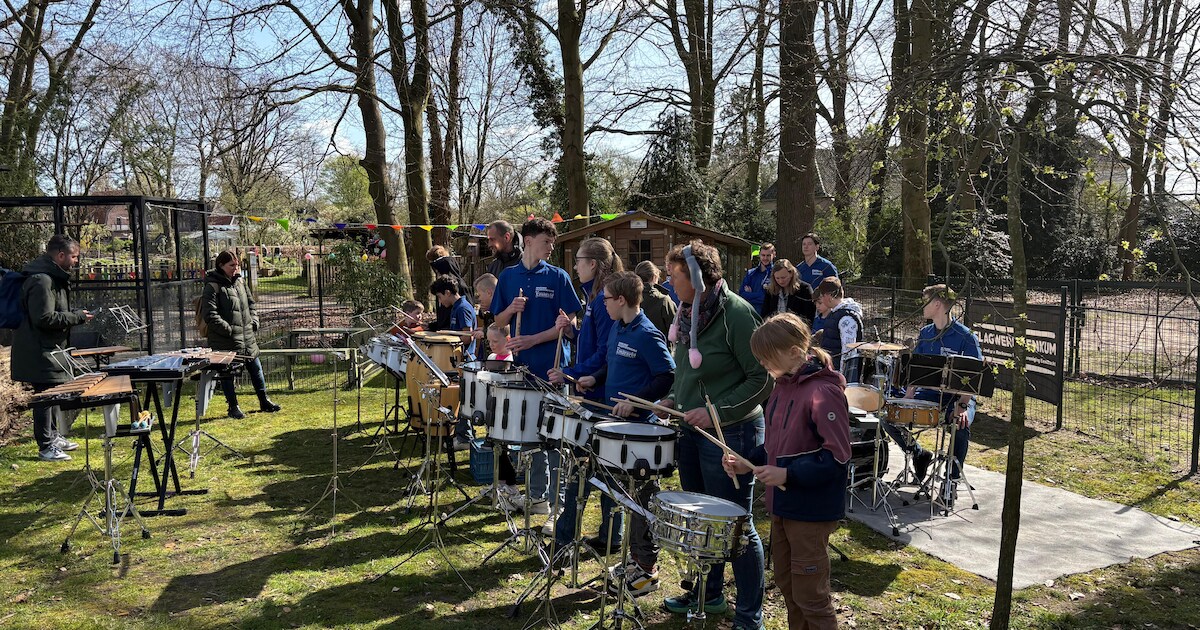 Slagwerk Renkum houdt zomershow in Wolfheze
