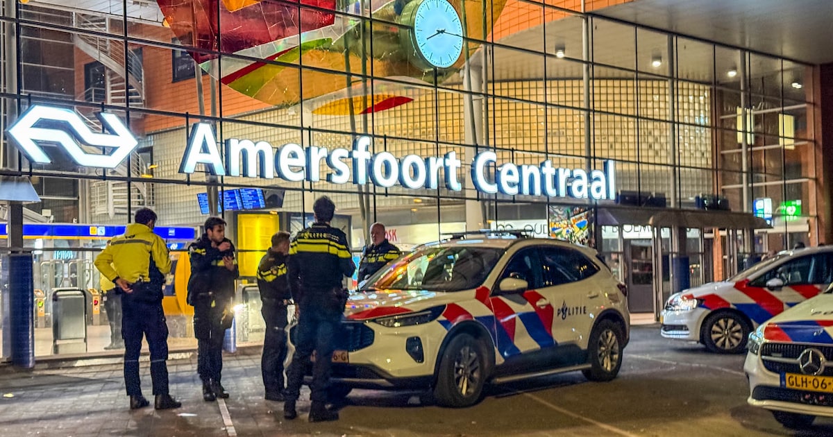 Hulpdiensten rukken met spoed uit naar vechtpartij op Amersfoort Centraal