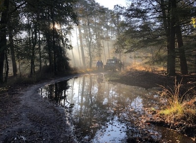 Staatsbosbeheer houdt expeditie over de Veluwe vanuit Vierhouten