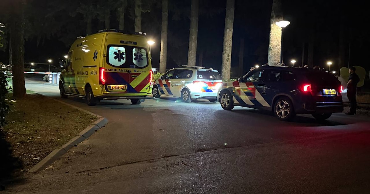 Ruzie op recreatiepark escaleert in Beekbergen, mannen geslagen met houten stok
