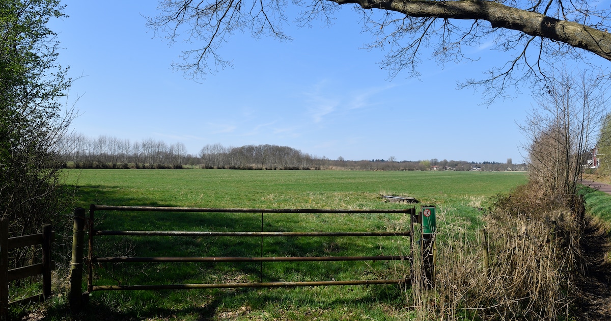 Ontwikkelaars en college akkoord over bouw 1000 huizen in Tabaksteeg Zuid
