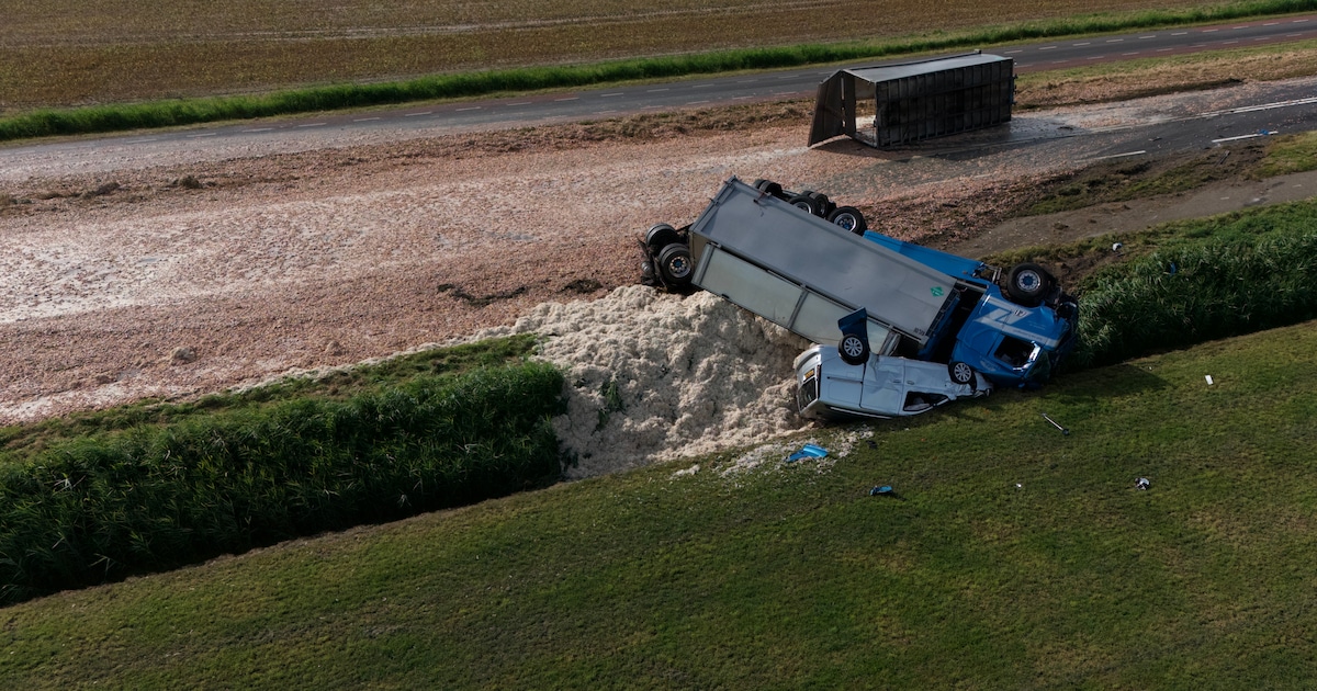 Weg bij Dronten vol met slachtafval na ongeluk tussen vrachtwagen en meerdere auto’s, één gewonde.