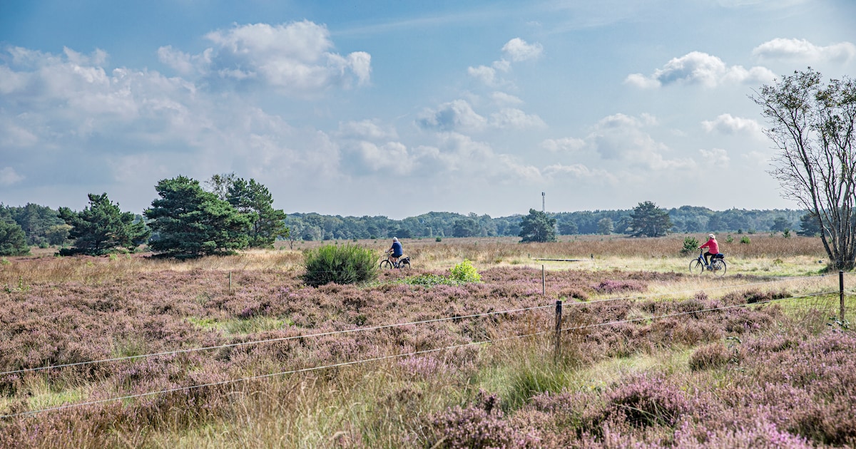 Veluwse Fietsdagen in september met drie routes en startlocaties