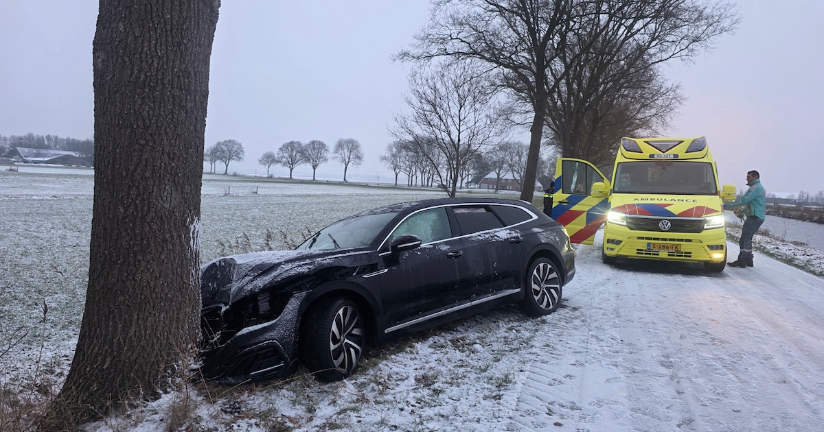Auto glijdt van weg bij Giethoorn en botst tegen boom