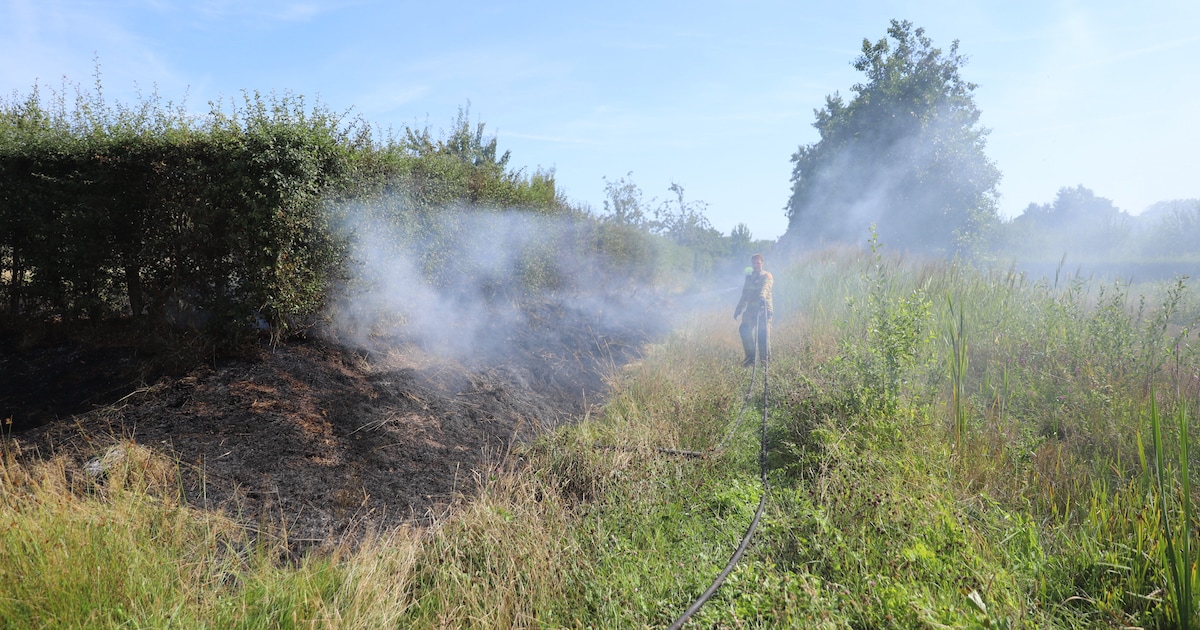 Stuk droog gras vliegt in brand in Apeldoorn, vuur onder controle