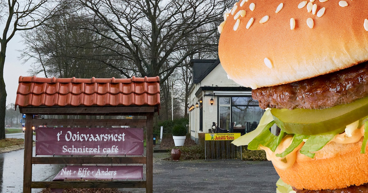 Weerstand tegen komst McDonald’s in Warnsveld neemt toe: ook provincie heeft zorgen