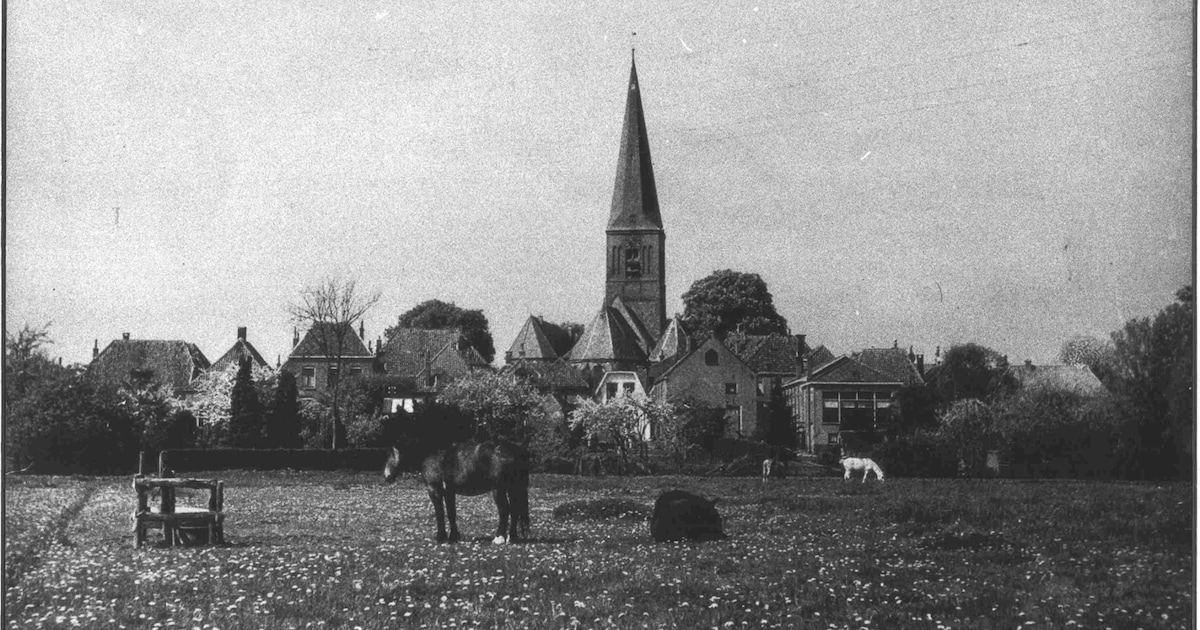 Genealogiezaterdag in Wijhe biedt hulp bij stamboomonderzoek