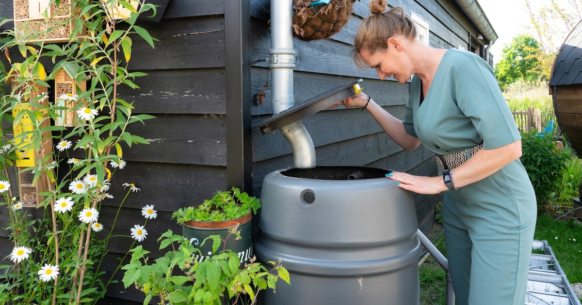 Subsidie voor vergroenen tuin in Olst-Wijhe