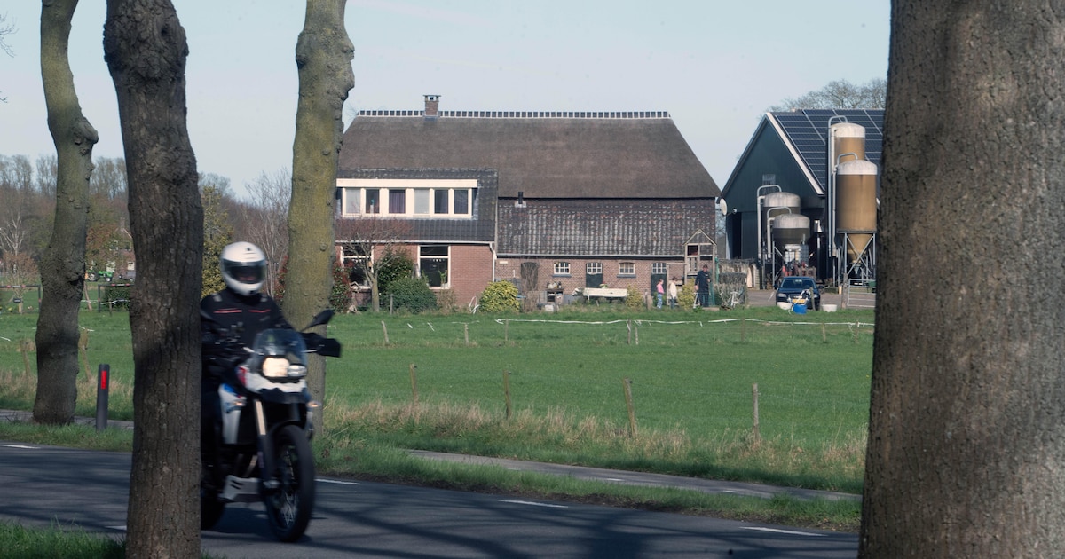 Lochem vergat cruciale stap: procedure voor ‘kleine’ windmolens in Laren begint opnieuw