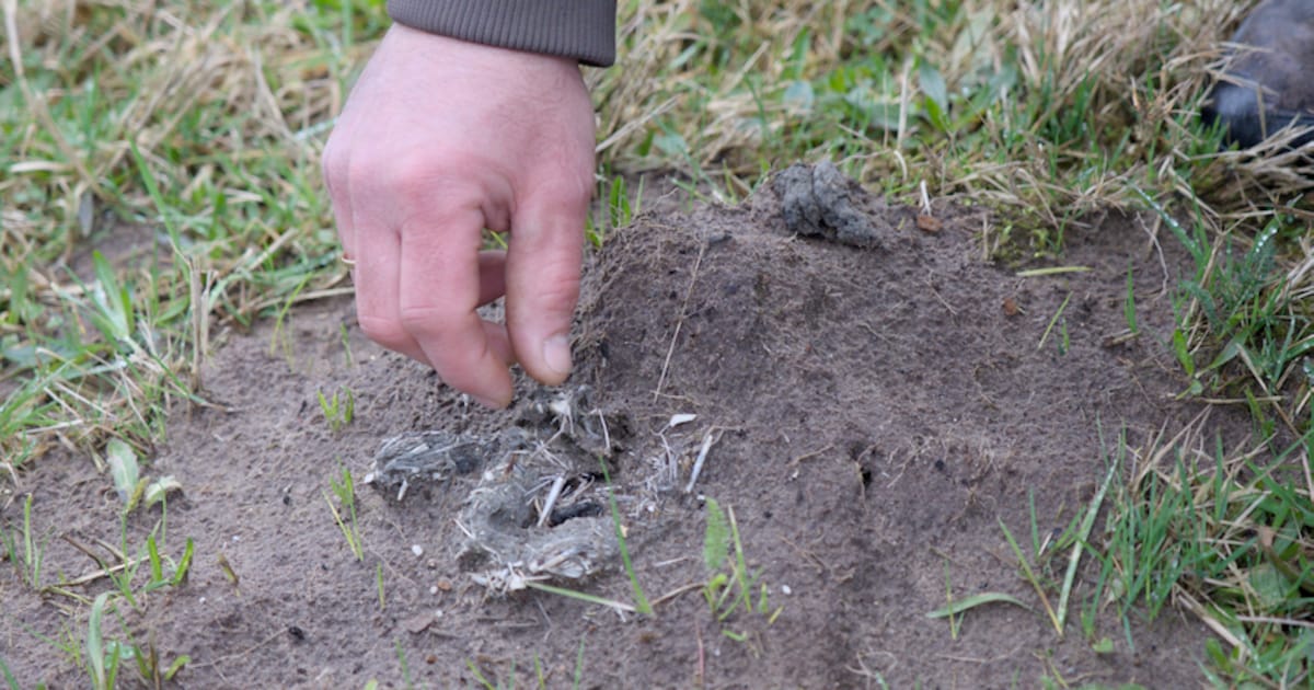 Op zoek naar sporen en historie van het Reestdal tijdens natuurwandeling
