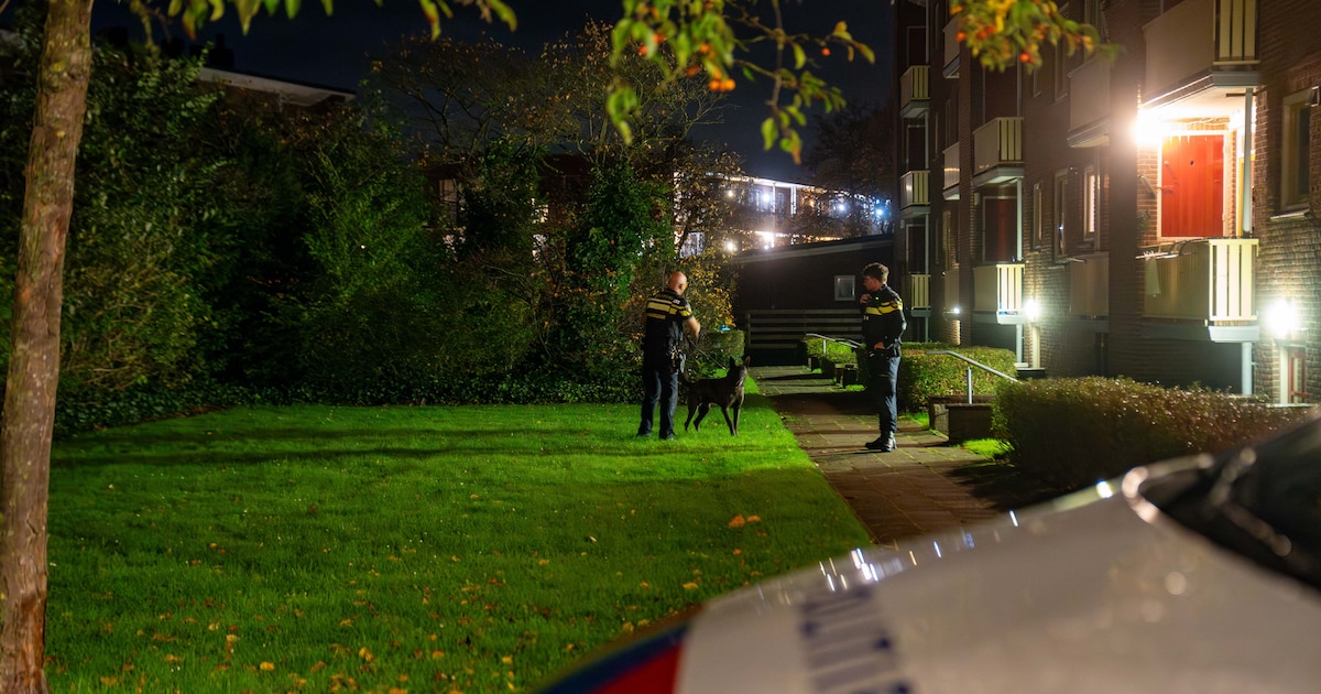 Toevallige vlucht van politiehelikopter boven Deventer verandert op slag als laserlicht op piloot sc