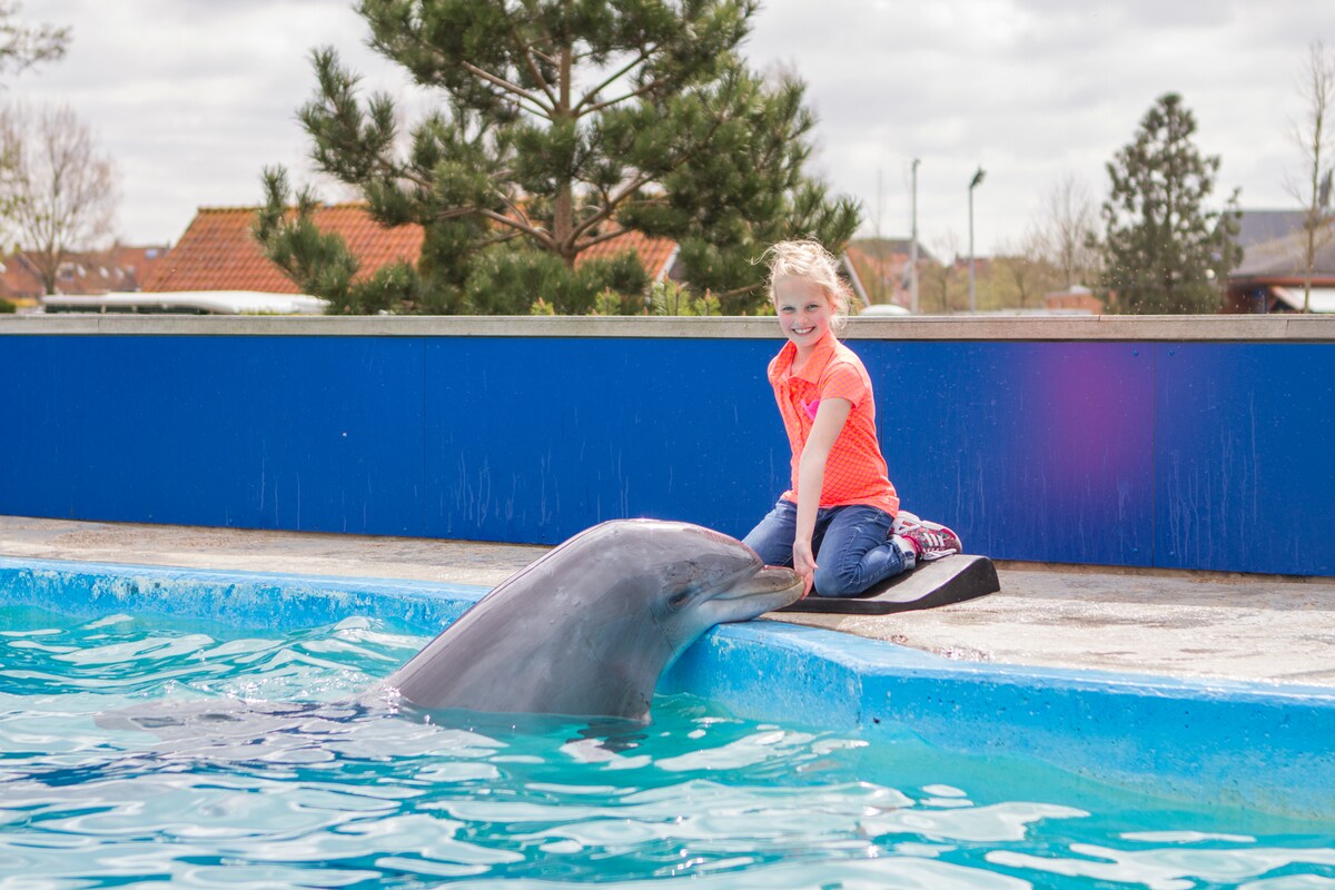 Het Dolfinarium in Harderwijk moet onder meer een einde maken aan de fotomomenten tussen mens en dier.