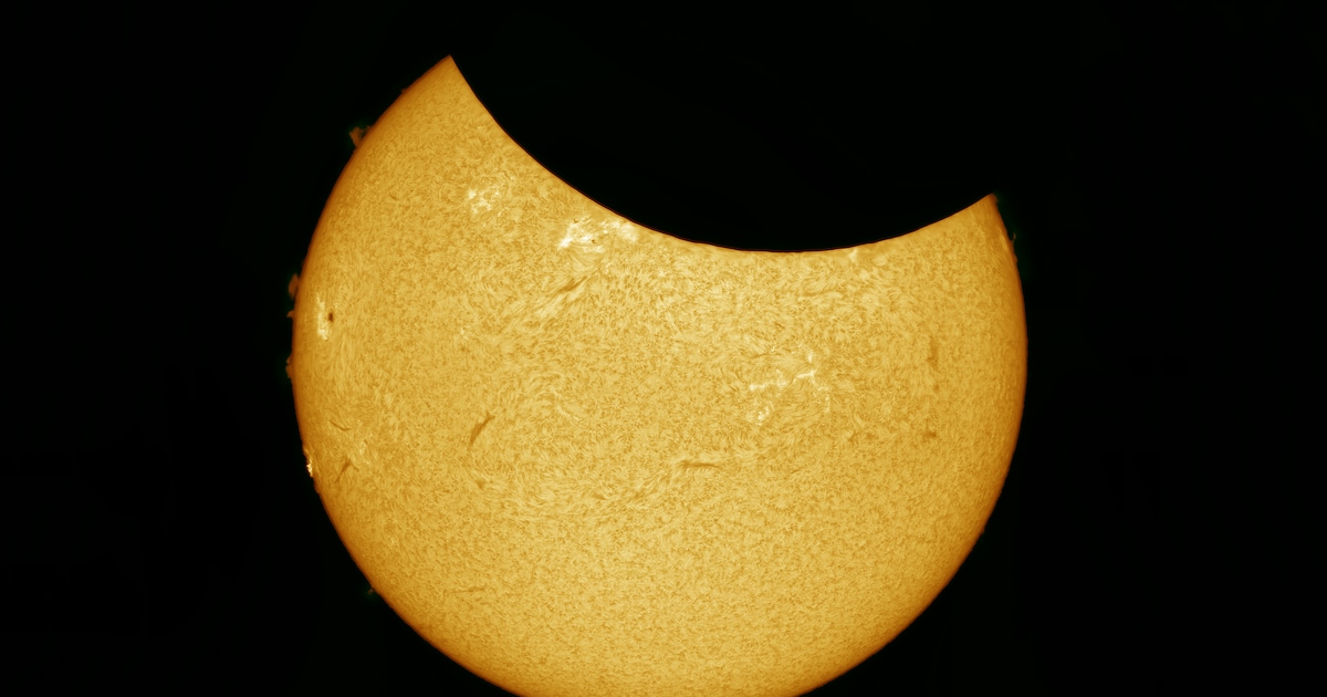 Speciale zonsverduistering-excursie op de Sallandse Heuvelrug