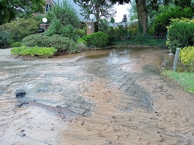 Als Patricia (48) het water tussen de bosjes ziet opborrelen, weet ze direct hoe laat het is: wéér e