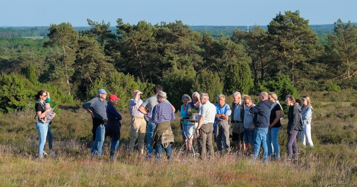 Gids neemt wandelaars mee op de Lemelerberg