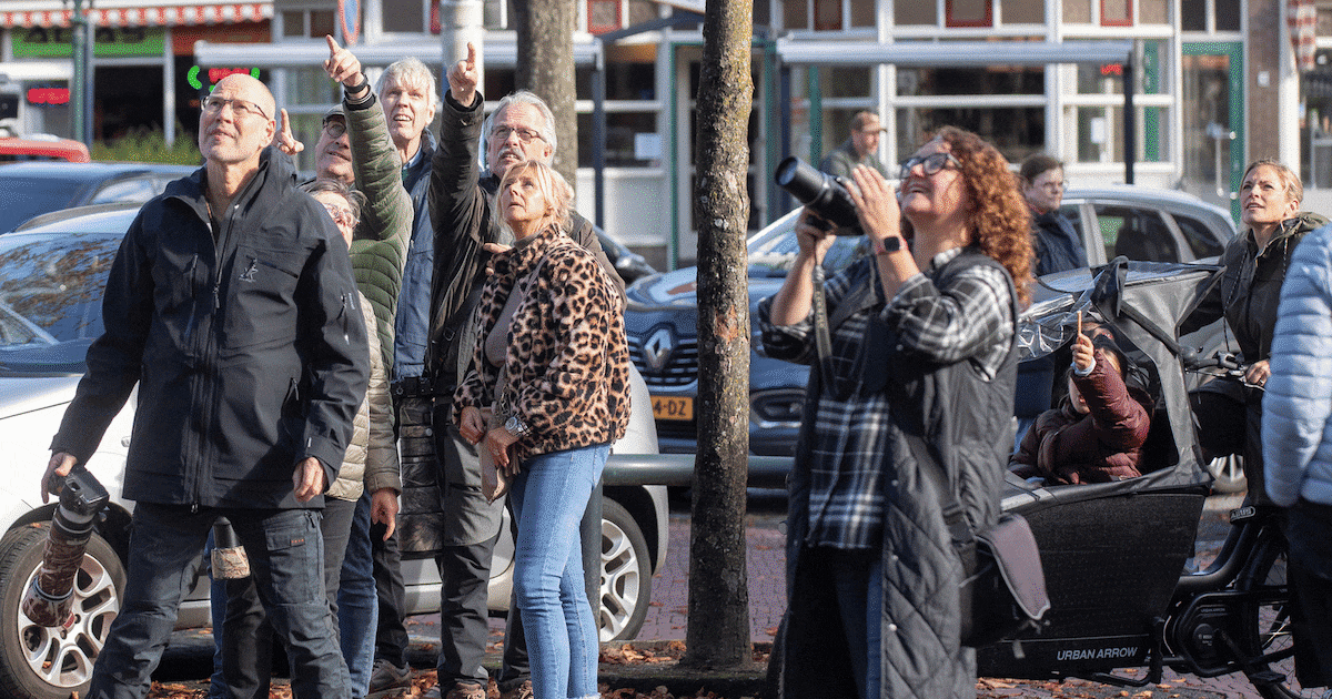 De ransuil is terug in Baarn en meteen vliegen de fotografen eropaf