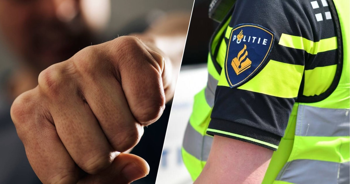 Omstanders grijpen in als mannen agenten bij de keel grijpen en proberen te wurgen: nu volgt hun str