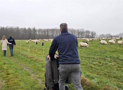 Labor Wesepe-Averlo houdt vast aan jaarlijkse kerstwandeling