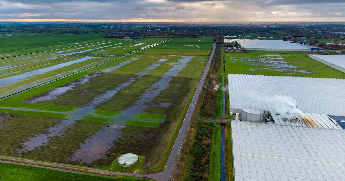 Rechter stelt gemeenteraad Kampen in gelijk: zonnepark in polder terecht afgewezen