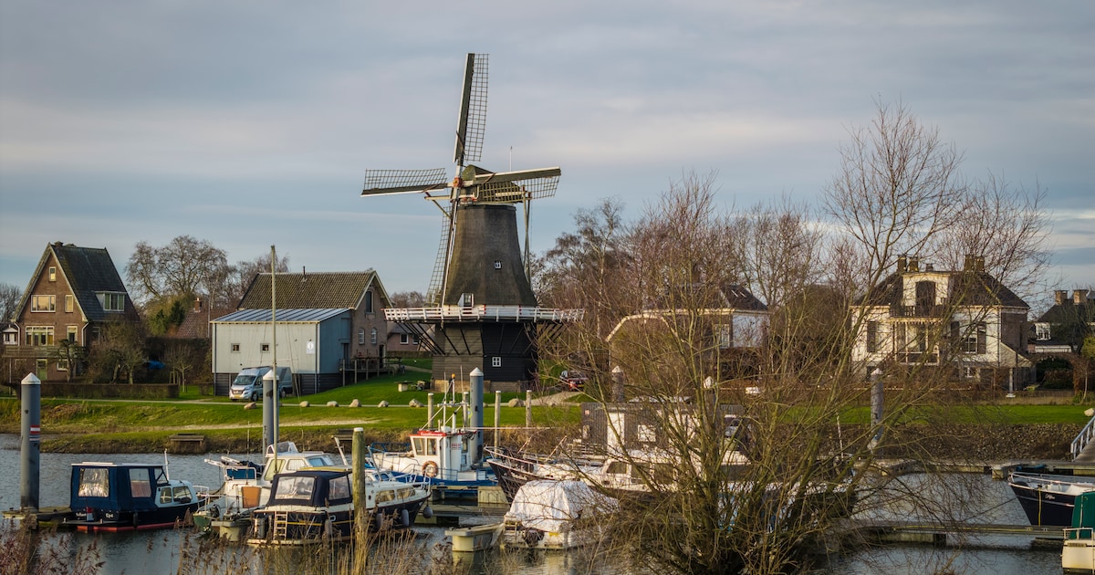 Dit weekend gratis festival tussen lodges en natuur in Veessen