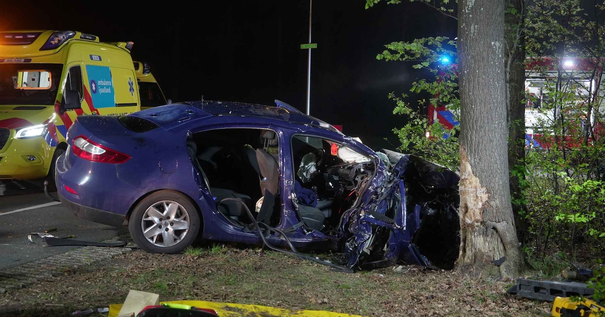 Auto crasht tegen boom in Witharen, bijrijder bekneld