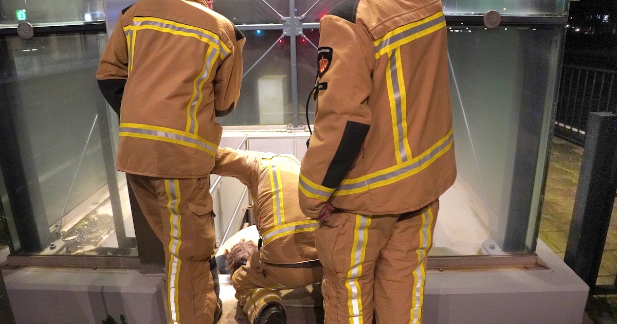 ‘Iets te enthousiast’: storing in liften op station Meppel kan ook door reizigers komen