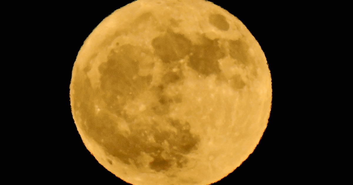 Iederal biedt activiteiten in Arnhem gedurende de maand maart